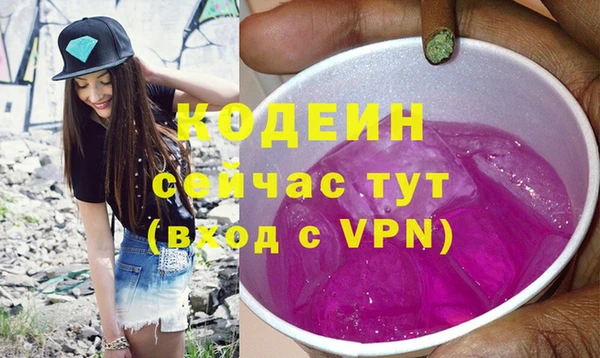 spice Ельня