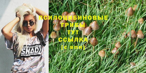 spice Ельня