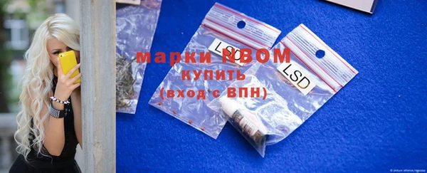 spice Ельня