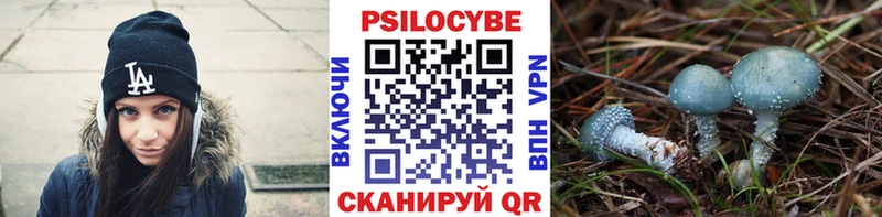KRAKEN онион  Красавино  Галлюциногенные грибы Magic Shrooms 
